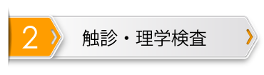 触診・理学検査
