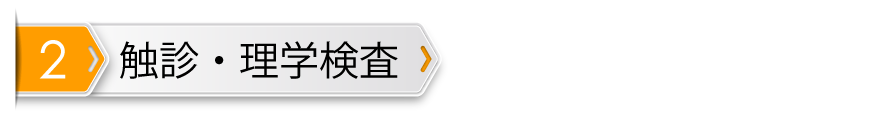 触診・理学検査