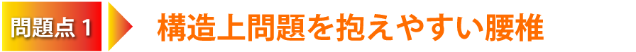 問題点1:構造上問題を抱えやすい腰椎