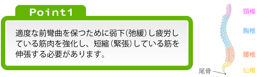 Point1:適度な前彎曲を保つために弱下(弛緩)し疲労している筋肉を強化し、短縮(緊張)している筋を伸張する必要があります。