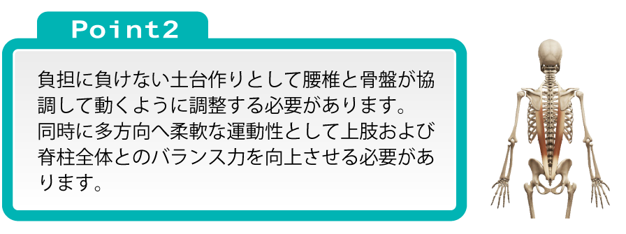 Point2:負担に負けない土台作りとして腰椎と骨盤が協調して動くように調整する必要があります。同時に多方向へ柔軟な運動性として上肢および脊柱全体とのバランス力を向上させる必要があります。