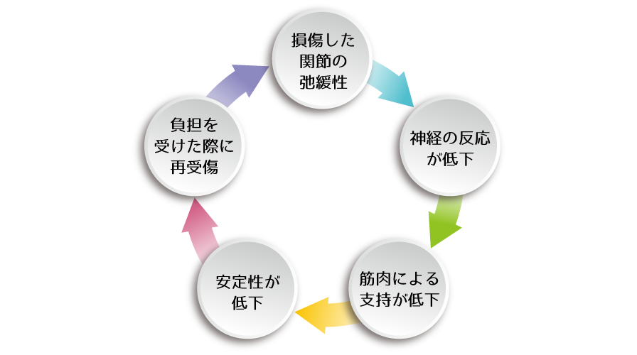 損傷した関節の弛緩性→神経の反応が低下→筋肉による支持が低下→安定性が低下→負担を受けた際に再受傷